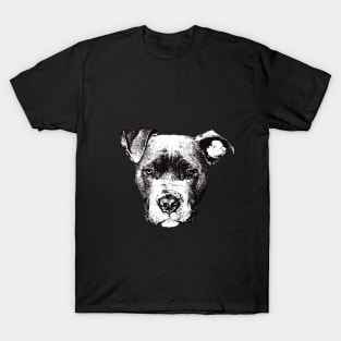 American Pit Bull - Pit Bull Christmas Gifts T-Shirt